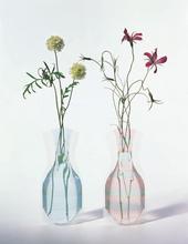 趣味・スポーツ・実用 FLOWERS BY DESIGN Amazon.co.jp: D-BROS公式 FLOWER VASE フラワーベース