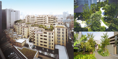 集合住宅