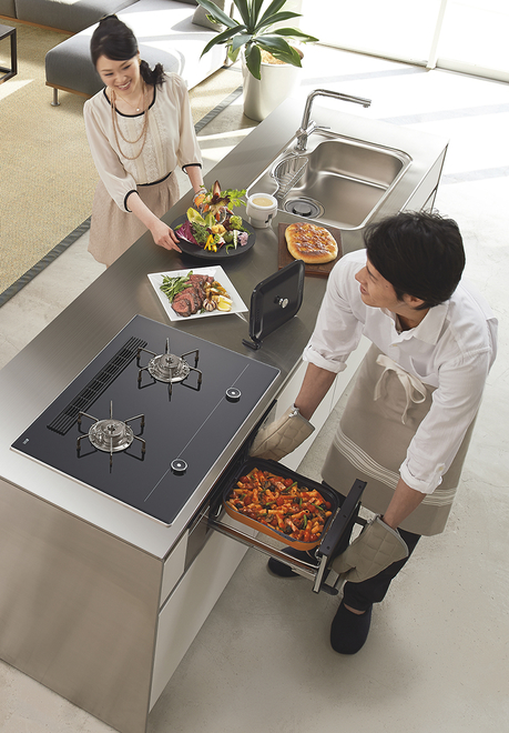 Gas Built-in Cooker