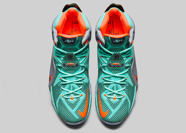 lebron james xii