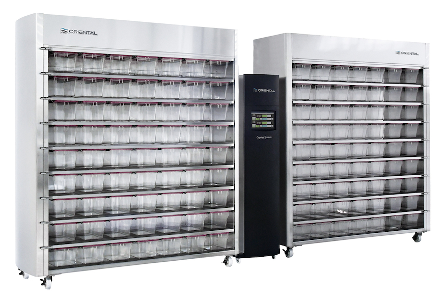 Individually Ventilated Caging System