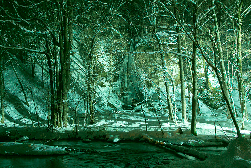 観光／ネイチャーツアー