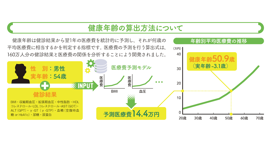 血管グラス ストア sumally