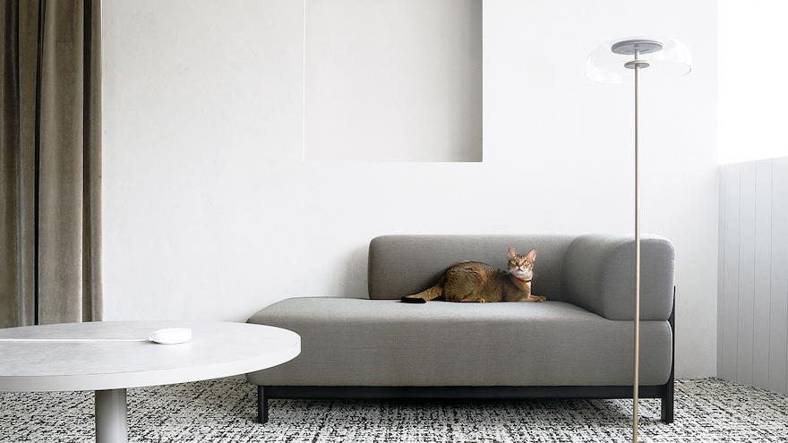 猫様専用首輪型デバイス＆アプリ