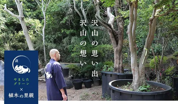地域社会の植物保護、育成活動