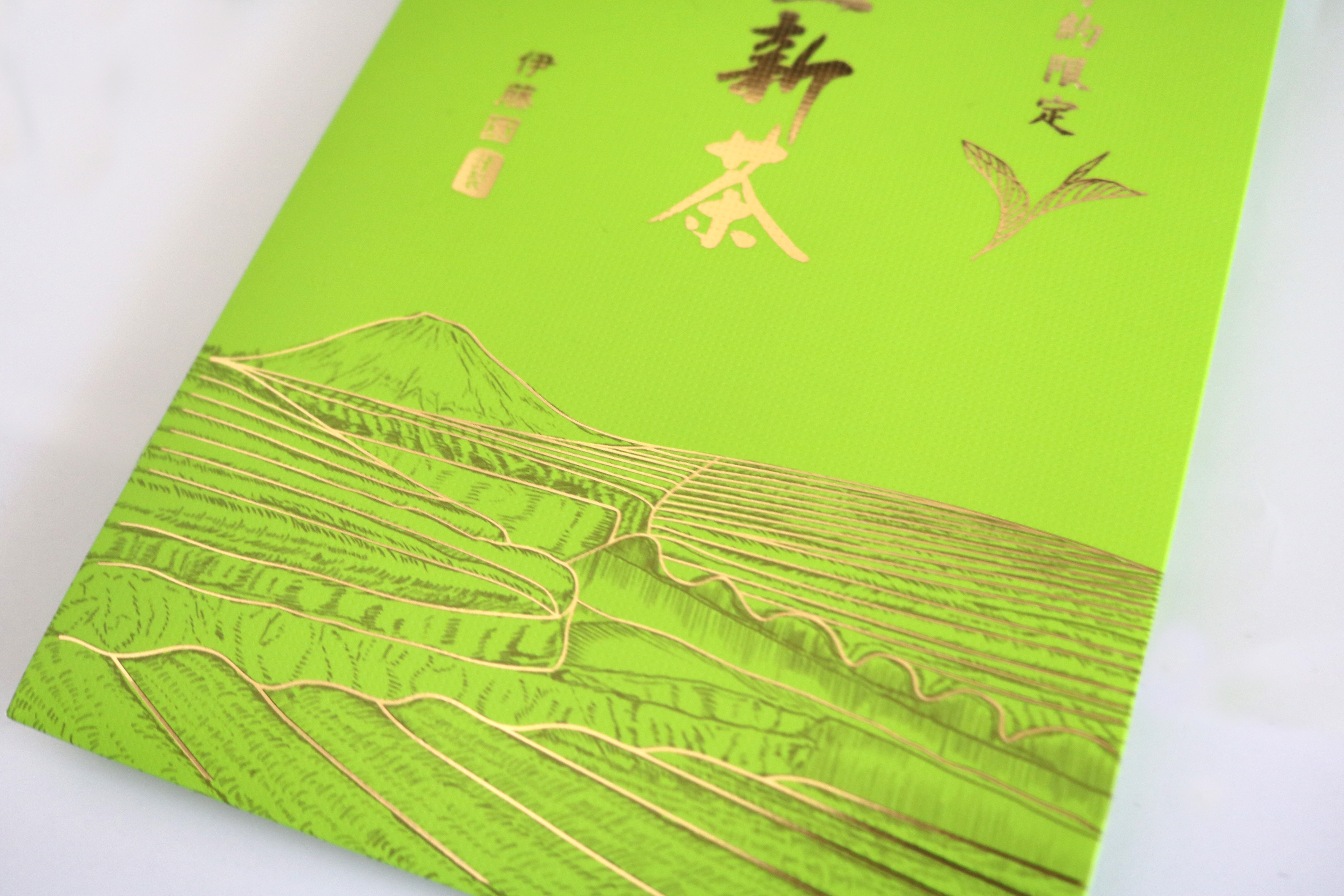 500: Failed to fetch