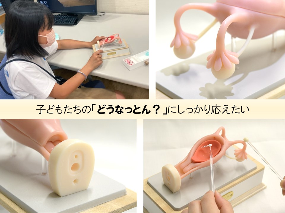 助産師による性教育活動