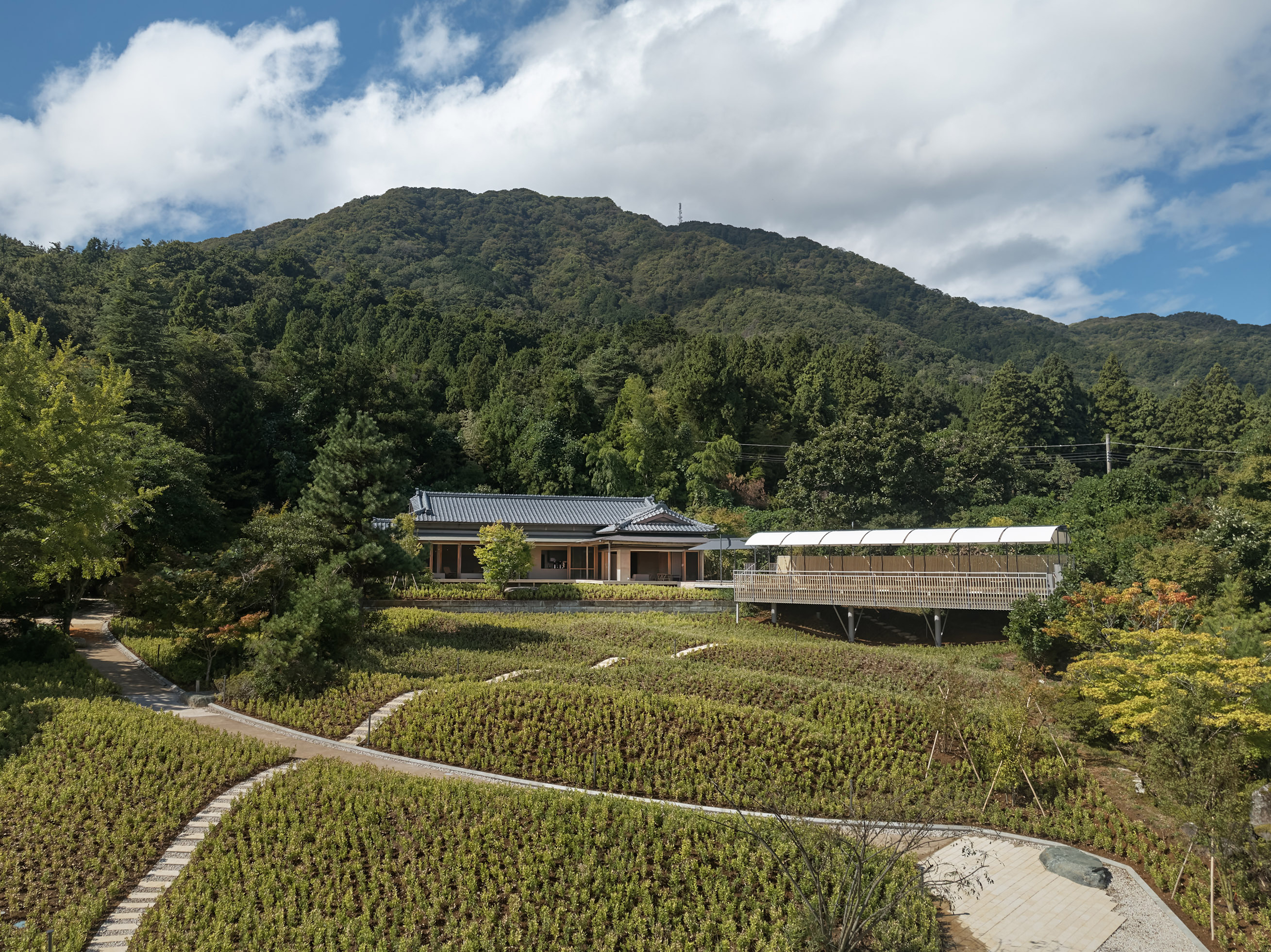カフェ及び展示空間