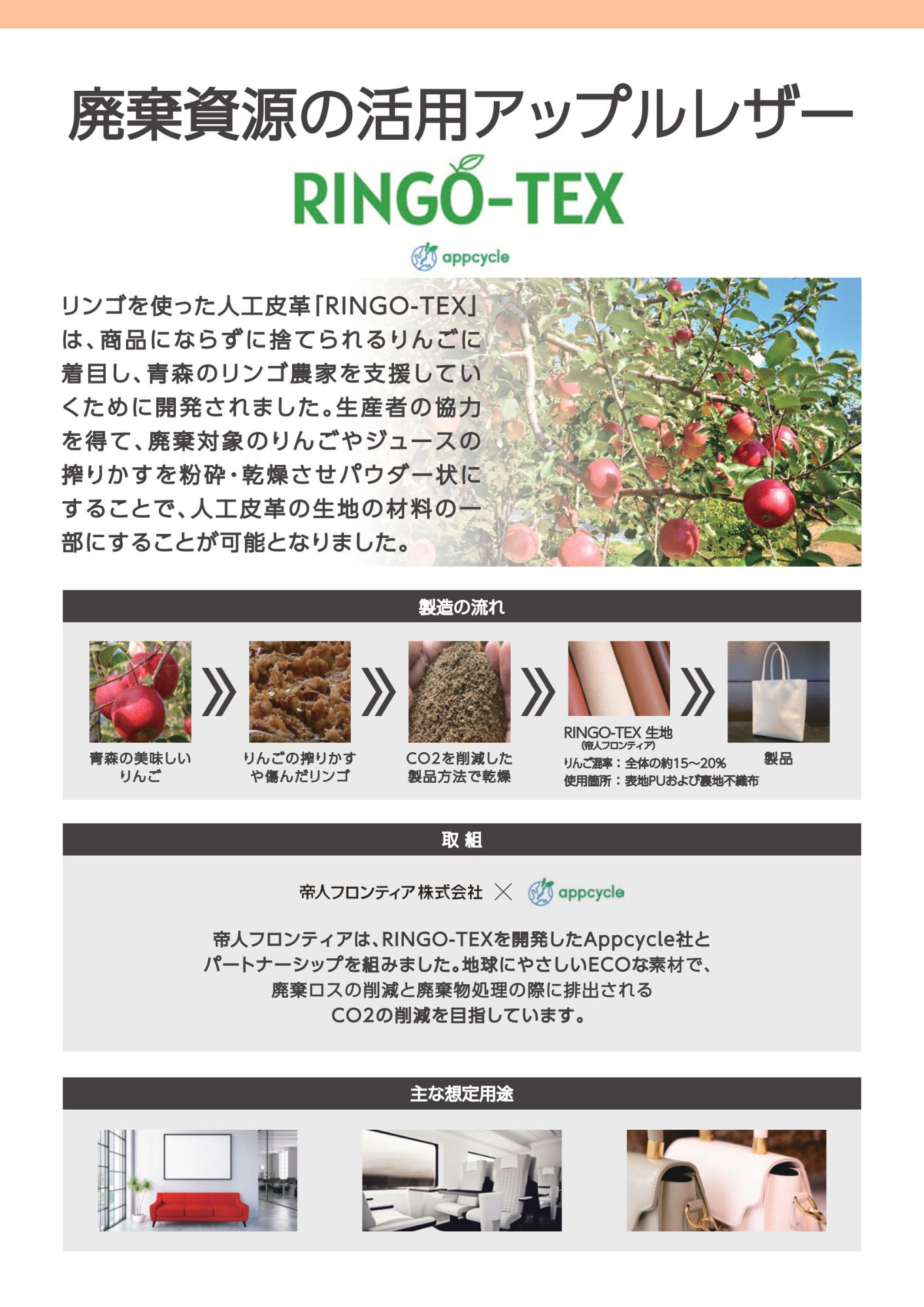 りんご　リクエスト商品 糖度14度以上『賢治りんご 蜜入りサンふじ』岩手県産 約3kg（8〜12玉