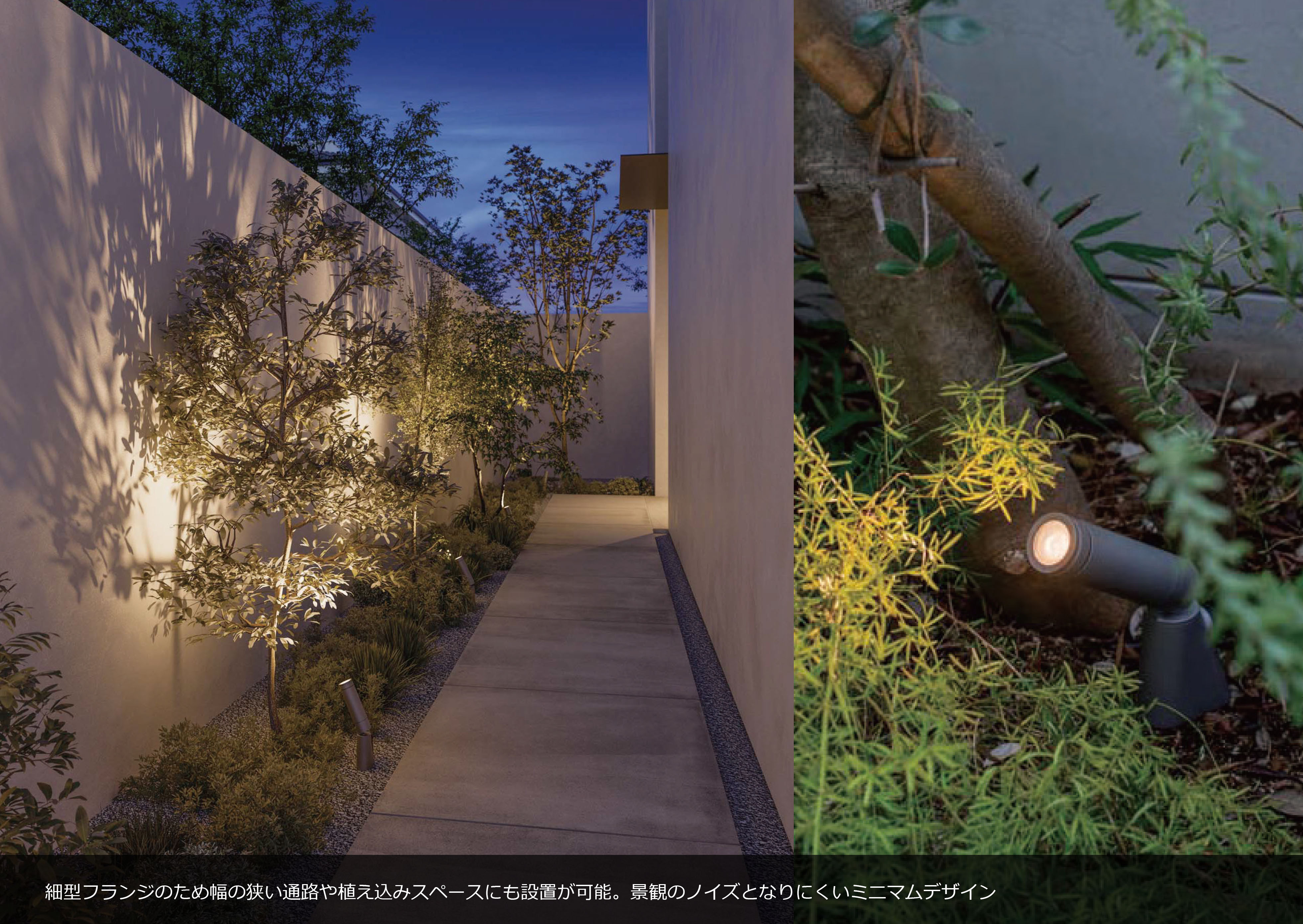 【長秀】クルクミンSOD　30日分×2個 miss_curcumin_02.jpg