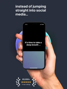 Mobile Application (App)