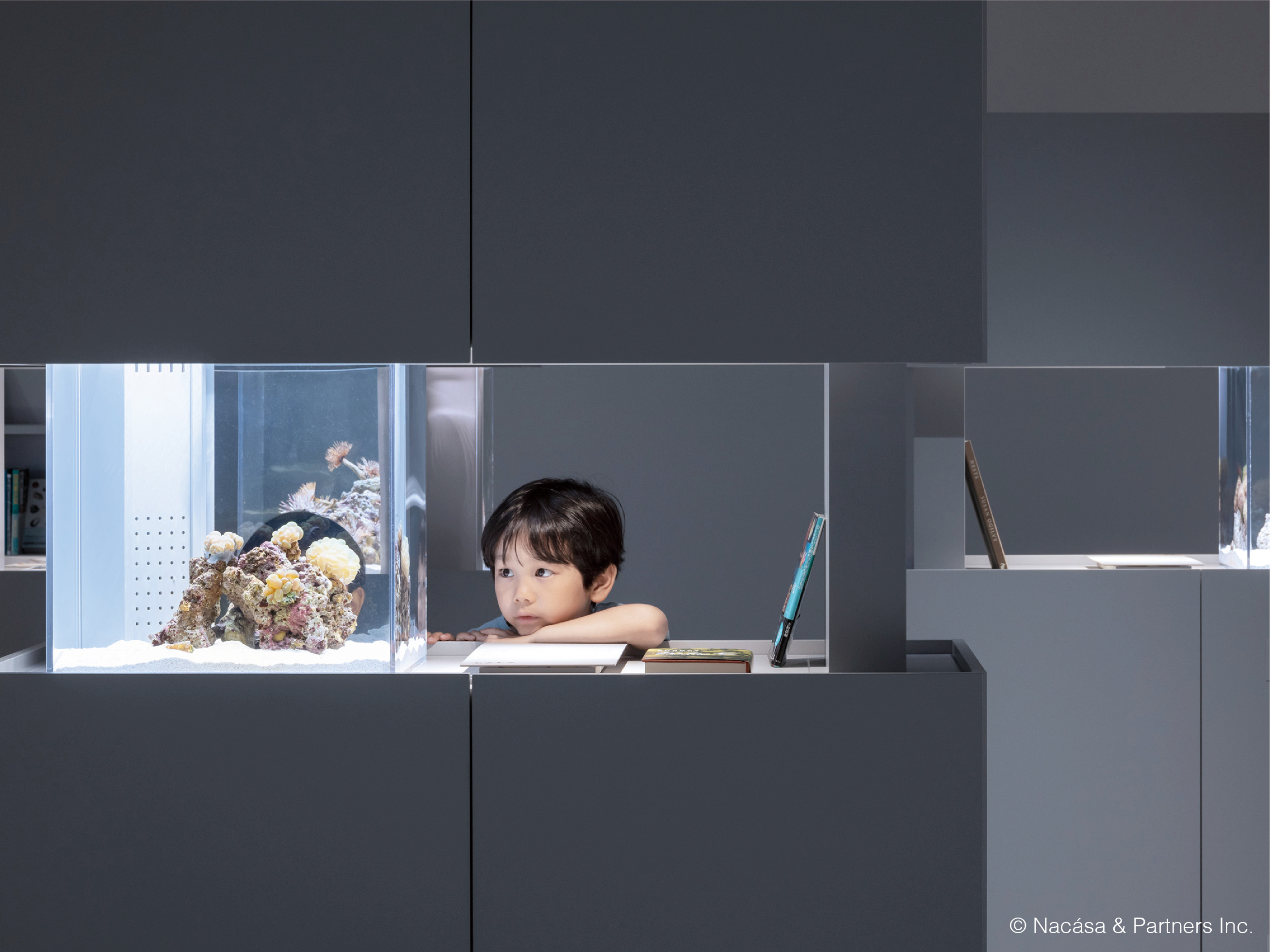 【展示コレクション級】水入り　水晶ポイント　博物館クラス　水多数あり 展示コレクション級】水入り 水晶ポイント 博物館クラス 水多数あり