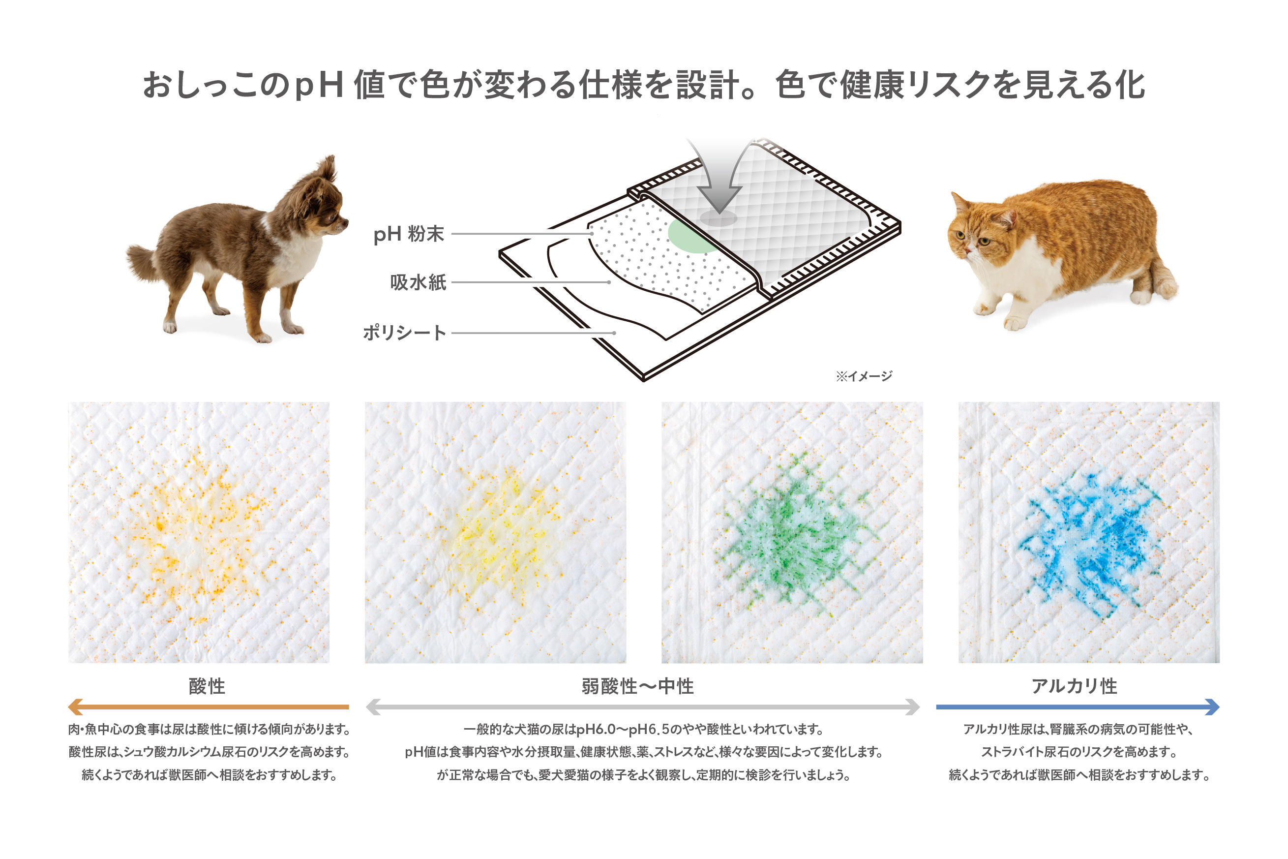 猫砂ペットシーツ シリーズ累計販売510万個突破！ワンちゃんが快適なペットシーツ