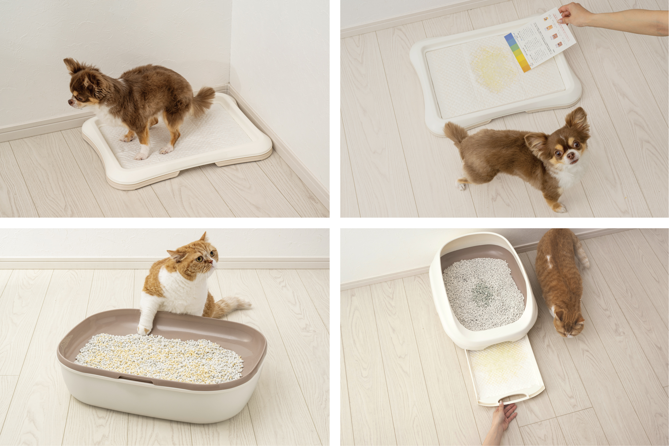 猫砂ペットシーツ 数量限定！サツドラオリジナル商品の猫砂・ペットシーツ送料無料販売