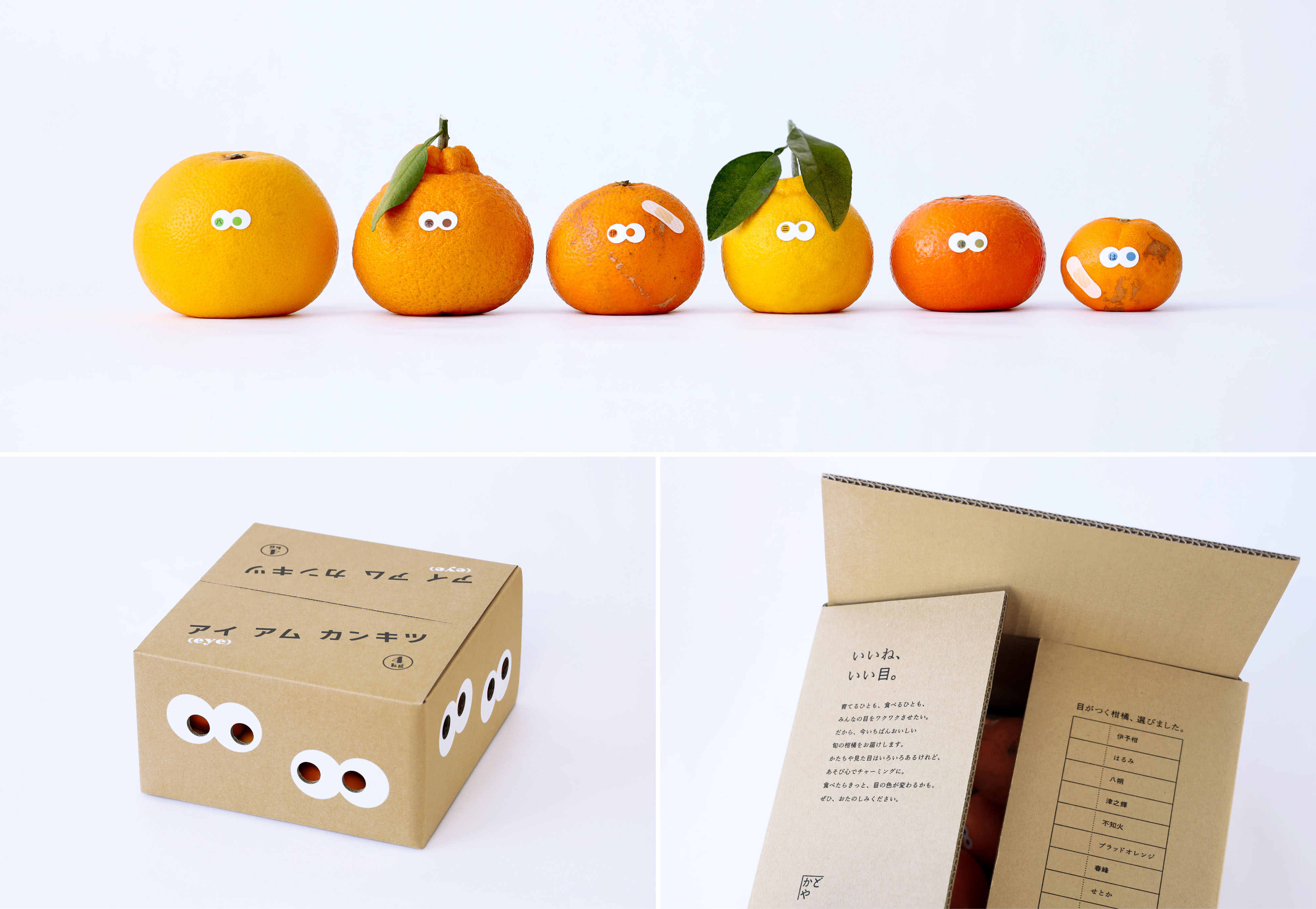 Citrus