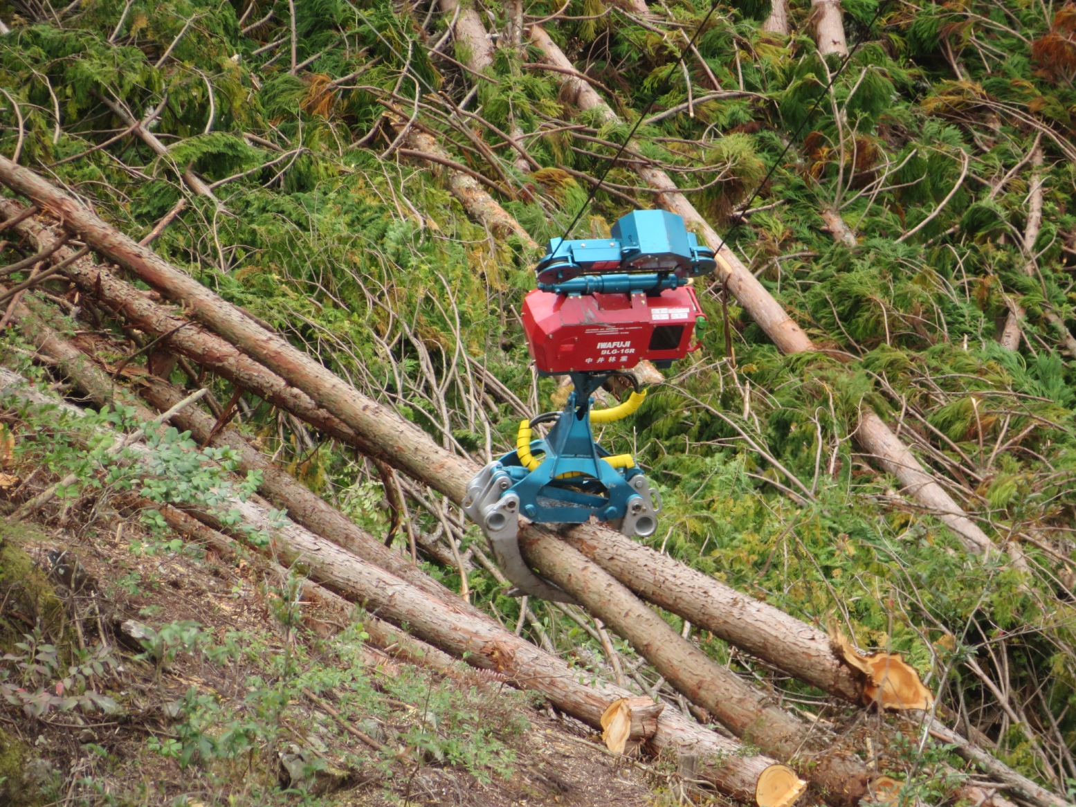 森藤式大型集材機輸送風景セット 架線集材装置