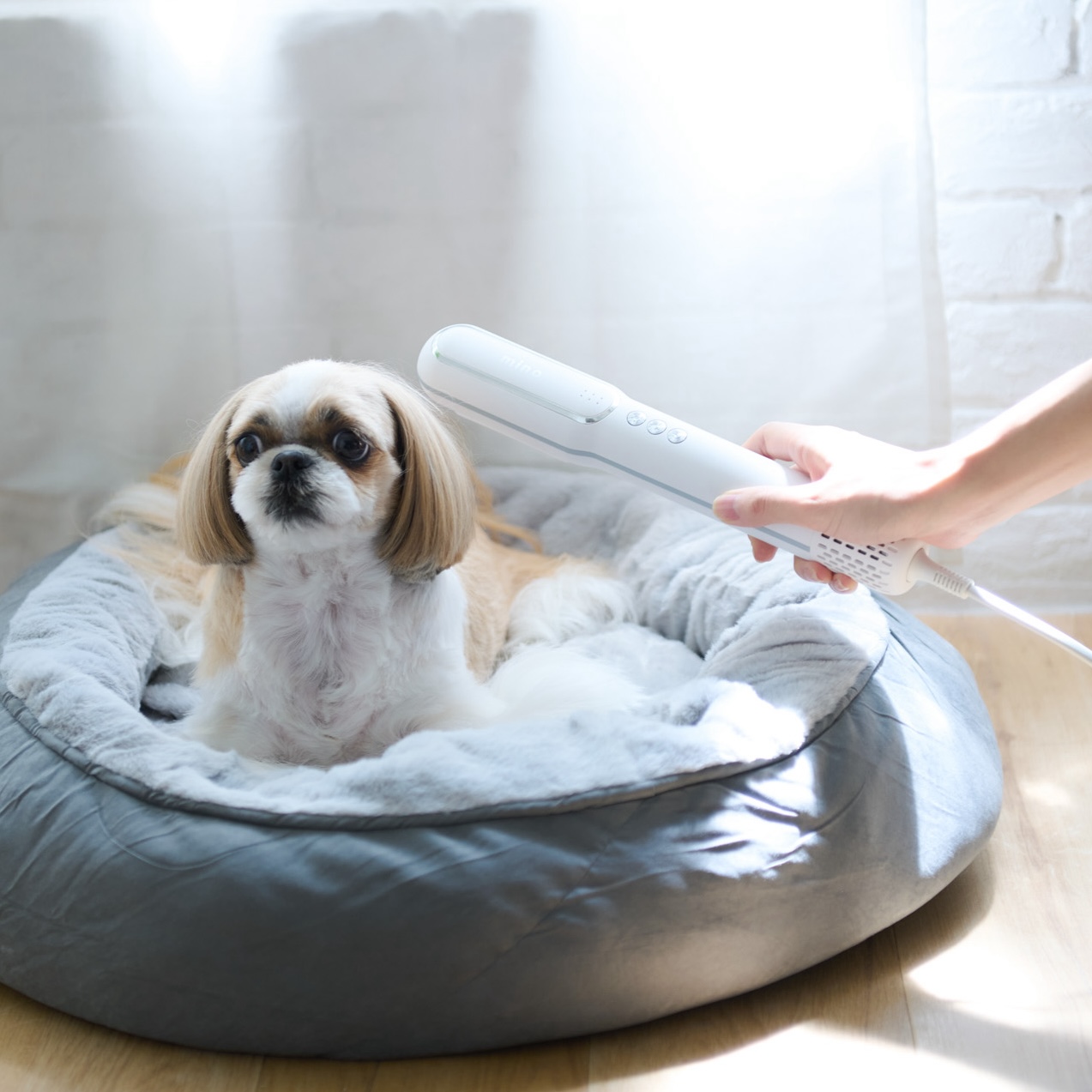 ペットドライヤー