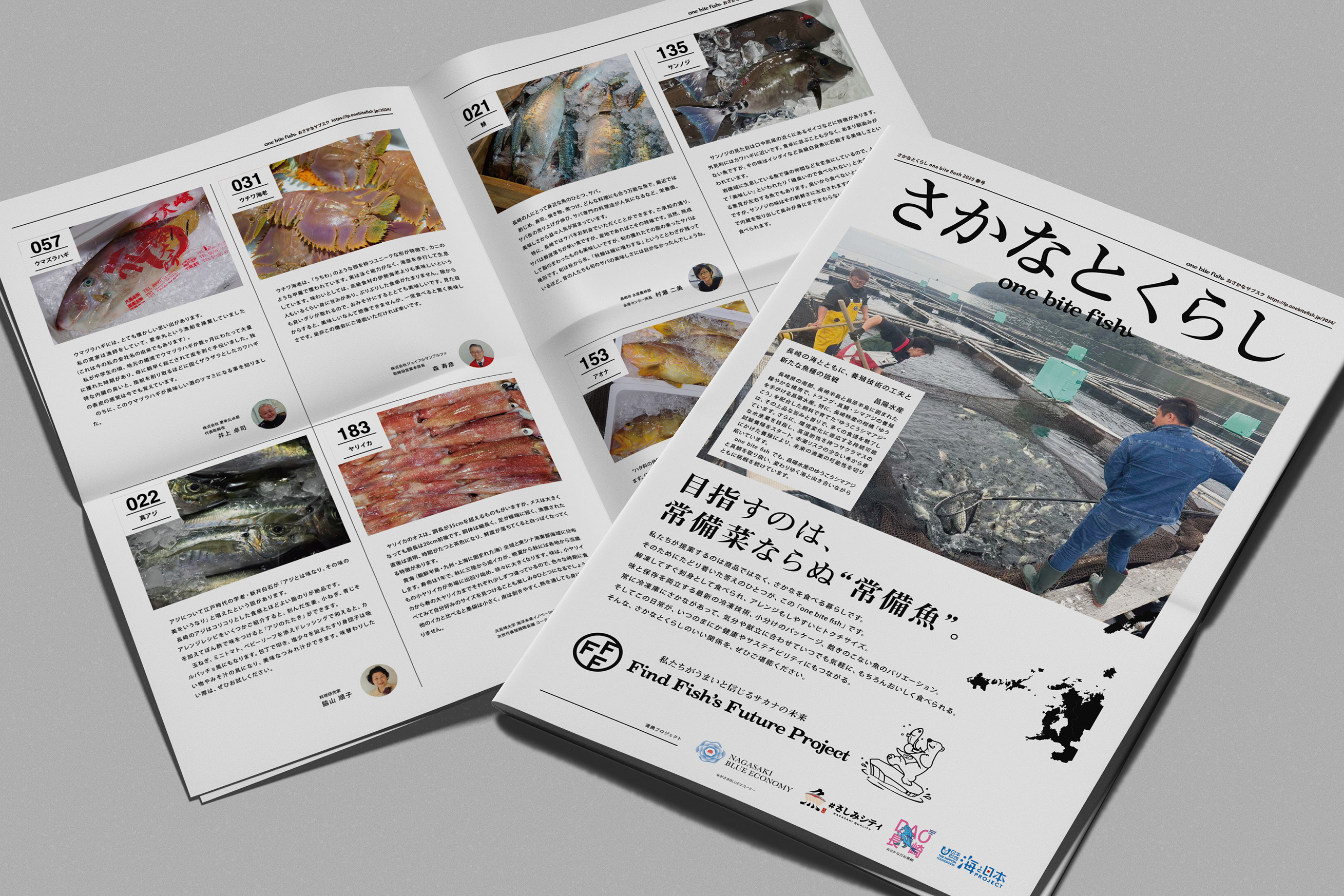 定期便サービス（冷凍魚）